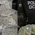 cinci persoane retinute si doua sub control judiciar intr un caz trafic de substante psihoactive aduse din olanda o doza costa 15 lei 684c7112125b0