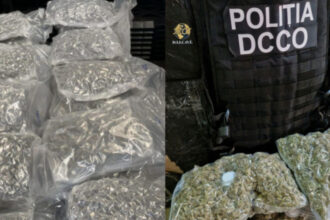 cinci persoane retinute si doua sub control judiciar intr un caz trafic de substante psihoactive aduse din olanda o doza costa 15 lei 684c7112125b0