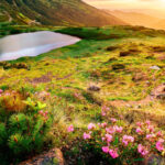 comisia europeana romania are termen doua luni sa ia masuri pentru a si proteja si gestiona siturile natura 2000 ce urmeaza apoi 6853097862f49