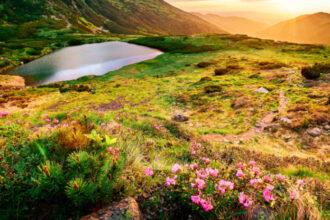 comisia europeana romania are termen doua luni sa ia masuri pentru a si proteja si gestiona siturile natura 2000 ce urmeaza apoi 6853097862f49