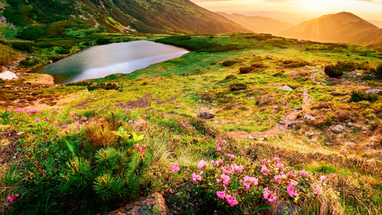 comisia europeana romania are termen doua luni sa ia masuri pentru a si proteja si gestiona siturile natura 2000 ce urmeaza apoi 6853097862f49