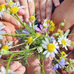 cum putem trata un fenomen grav din educatie invatatoare cati copii atatea povesti trebuie sa simti ceva nu merge altfel 685297342f3bf