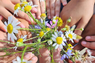 cum putem trata un fenomen grav din educatie invatatoare cati copii atatea povesti trebuie sa simti ceva nu merge altfel 685297342f3bf