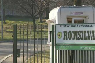 curtea de conturi a descoperit plati necuvenite de peste 216 milioane de lei acordate salariatilor romsilva 6851f2b7879d6