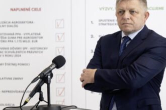 fico autoritarismul e mai eficient decat democratia din punct de vedere al economiei 6847cef6f268d