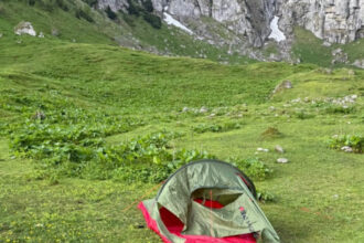 foto cainele unei familii cu doi copii care campa la munte in zona malaiesti a alungat un urs animalul atras de mirosul de mancare 68457988b4569