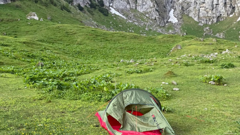 foto cainele unei familii cu doi copii care campa la munte in zona malaiesti a alungat un urs animalul atras de mirosul de mancare 68457988b4569