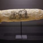 foto un prezervativ vechi de 200 de ani expus intr un muzeu din amsterdam banuim ca nu a fost folosit niciodata 683ff3f51d591