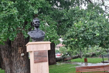 foto unul dintre copacii care l au inspirat pe mihai eminescu a cazut in iasi interventie de urgenta a isu 6849ad40c72db