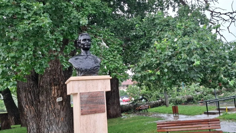 foto unul dintre copacii care l au inspirat pe mihai eminescu a cazut in iasi interventie de urgenta a isu 6849ad40c72db