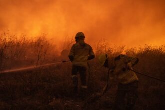 funds to tackle europes forest fires being misdirected says eu watchdog 6849b1961f4ae