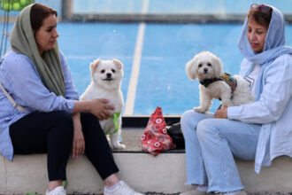 interdictii tot mai dure in iran plimbatul cainilor si transportul acestora cu masina interzise in mai multe orase 6846bcb0aa20b