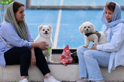 interdictii tot mai dure in iran plimbatul cainilor si transportul acestora cu masina interzise in mai multe orase 6846bcb0aa20b