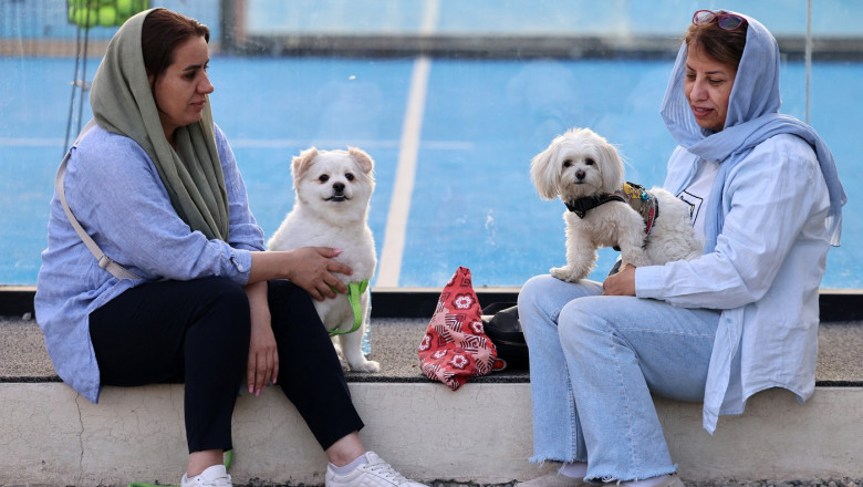interdictii tot mai dure in iran plimbatul cainilor si transportul acestora cu masina interzise in mai multe orase 6846bcb0aa20b