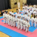 medalii iesene la cupa mondiala de karate 68528e900abcc