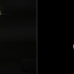 moscova este gata sa i acorde azil lui elon musk daca va fi necesar pe fondul conflictului cu donald trump afirma un oficial rus 6842eb7e989a3