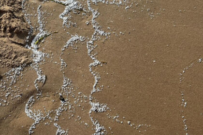 patru plaje de langa valencia au fost inchise dupa ce pe nisip au aparut particule albe misterioase 6847b1aa8285a