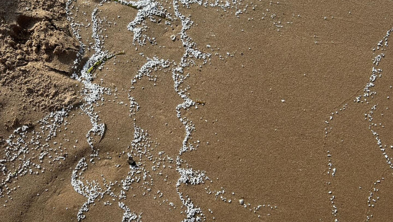 patru plaje de langa valencia au fost inchise dupa ce pe nisip au aparut particule albe misterioase 6847b1aa8285a