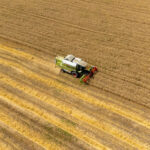 preturile mondiale la alimente au scazut in luna mai in urma ieftinirii cerealelor zaharului si uleiului 6842d63d58f23