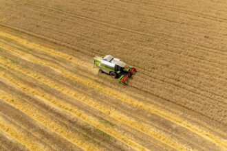 preturile mondiale la alimente au scazut in luna mai in urma ieftinirii cerealelor zaharului si uleiului 6842d63d58f23