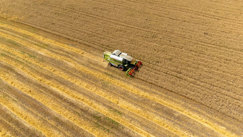preturile mondiale la alimente au scazut in luna mai in urma ieftinirii cerealelor zaharului si uleiului 6842d63d58f23