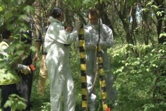 sase persoane din iasi gasite spanzurate doar in ultima luna dr angelica hristea exista anumite perioade 68520bb91fb3b