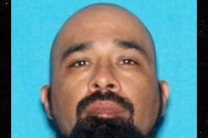 the fbi launches manhunt for alleged rock tossing l a protester 6848439101a1e