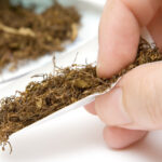 ue ia in calcul sa creasca accizele la tutun cu pana la 258 taxe mai mari si pentru trabucuri si tigari electronice 684c0aeb8cfd7