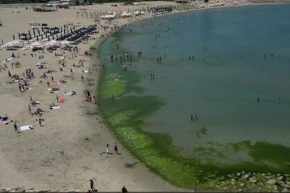 video covor de alge pe litoral la inceput de sezon cum explica specialistii fenomenul intalnit de regula spre finalul verii 68426aad289ad