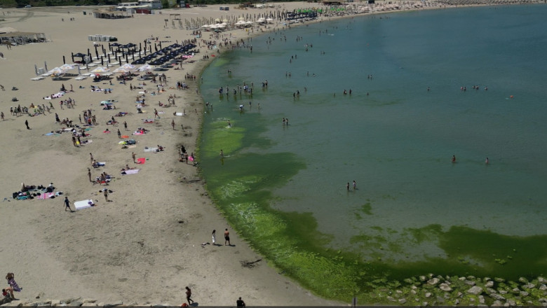 video covor de alge pe litoral la inceput de sezon cum explica specialistii fenomenul intalnit de regula spre finalul verii 68426aad289ad