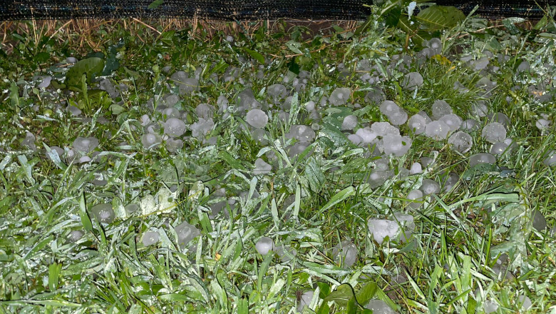 video grindina a facut prapad in localitatile afectate de codul rosu de furtuni culturi agricole si gradini distruse 684069668edc9