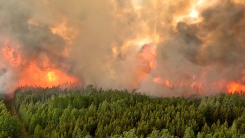 video incendii de vegetatie puternice in canada localitati evacuate cu ajutorul armatei focul se extinde catre provincia ontario 6847c92ba107d