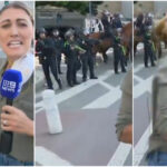 video momentul in care politia din los angeles impusca o jurnalista australiana in timpul unei transmisiuni in direct de la proteste 6846a9f54a609