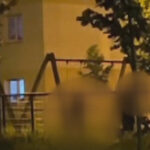 video scene socante intr un parc din brasov femeie batuta de sot in timp ce copilul plange in leagan agresorul a fost retinut 68465cdadbfc7