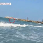 video tragedie evitata la limita cum a fost salvata de la moarte tanara abandonata de iubit in mijlocul valurilor la costinesti 684993a7238be