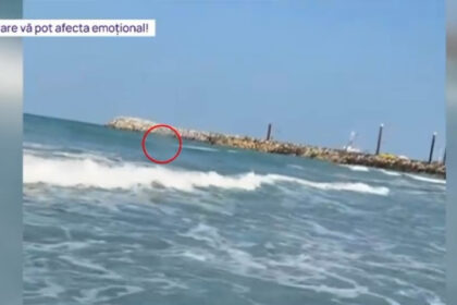 video tragedie evitata la limita cum a fost salvata de la moarte tanara abandonata de iubit in mijlocul valurilor la costinesti 684993a7238be