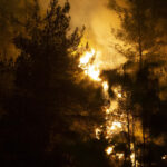 10 pompieri morti si 14 raniti in incendiile de vegetatie din centrul turciei 6881cd5006b0f