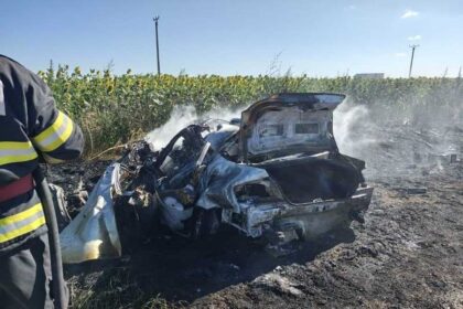 accident mortal in teleorman o masina si o duba s au ciocnit violent dupa impact un autoturism a luat foc 686f814ddf918