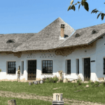 aceasta este cea mai spectaculoasa casa oamenii sar gardul pentru o poza langa bijuteria din lut 68840f7b26a62