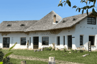 aceasta este cea mai spectaculoasa casa oamenii sar gardul pentru o poza langa bijuteria din lut 68840f7b26a62