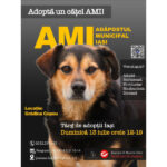 adopta un catel de la padoc duminica te asteapta in copou 6870e0959ea6e