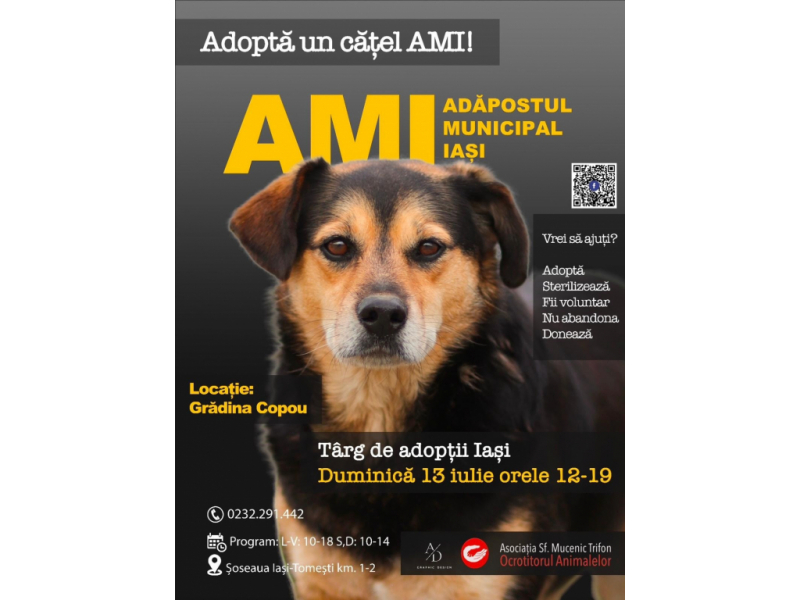 adopta un catel de la padoc duminica te asteapta in copou 6870e0959ea6e