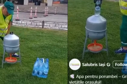 angajatii salubris iasi pare ca dau apa minerala porumbeilor in dispersoare special amenajate conducerea neaga iesenii se amuza e pentru sprit 686b9ac1e6692