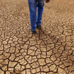 avertisment in premiera al curtii internationale de justitie asupra schimbarilor climatice o amenintare urgenta si existentiala 688101cd05374