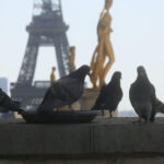 canicula lasa parisul fara curent electric realimentarea cu energie este ingreunata de o greva 686a4ed30c3ed