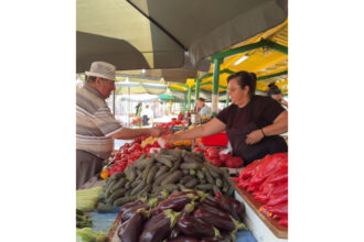 canicula strica piata 687f2a281db2a