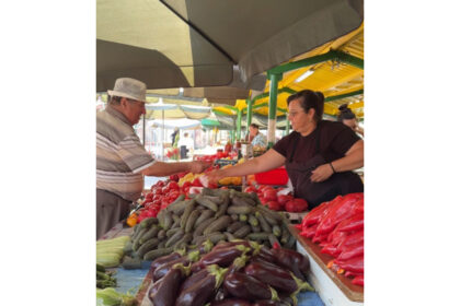 canicula strica piata 687f2a281db2a