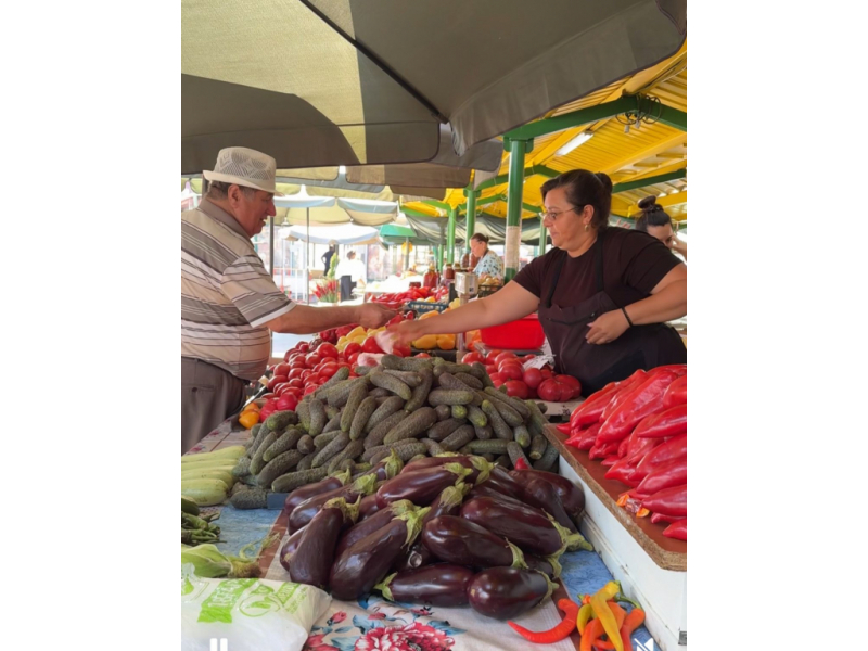 canicula strica piata 687f2a281db2a