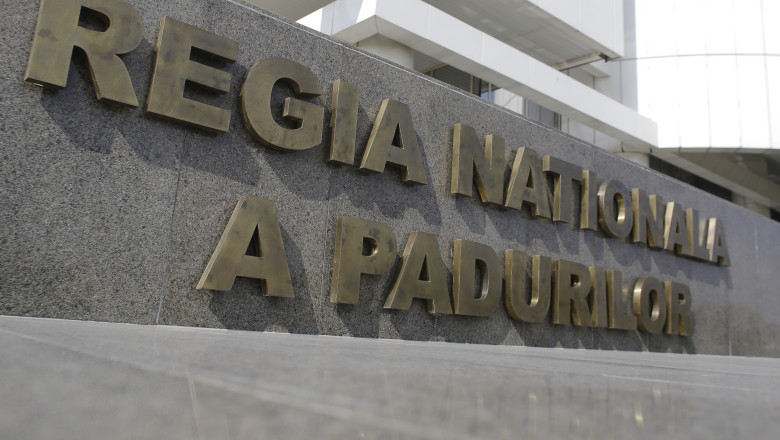 ce a descoperit corpul de control al ministerului mediului la romsilva diana buzoianu trimite raportul la parchetul general 6888b51a8cfa8