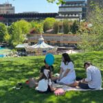 ce poti face in acest weekend la iasi ghidul complet al evenimentelor realizat de ziarul de iasi 687993a698517